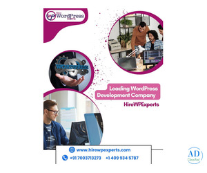 Leading WordPress Development Company – HireWPExperts