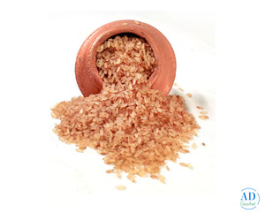 Palakkad Vadi Matta – Kerala’s Finest Red Rice, Now Available Online Palakkad Vadi Matta – Kerala’s Finest Red Rice, Now Available Online