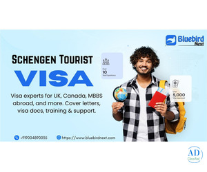Trusted Study Abroad Consultants – Bluebird Next