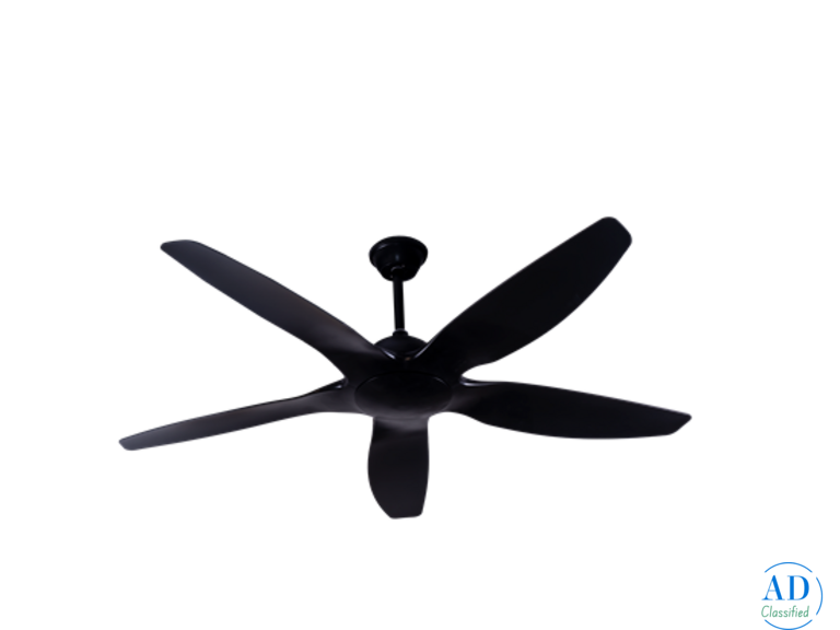 Premium Designer Ceiling Fans at Best Price