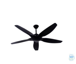 Premium Designer Ceiling Fans at Best Price