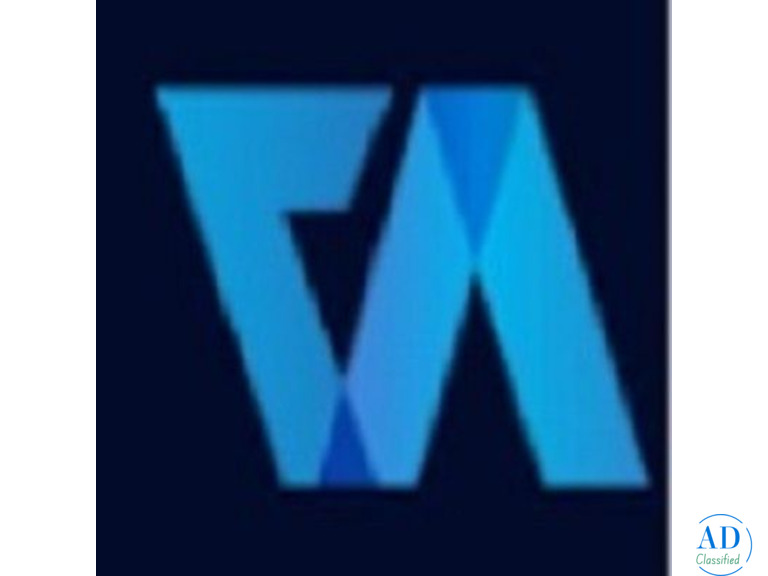 Company Valuation - Virtual Auditor Pvt Ltd