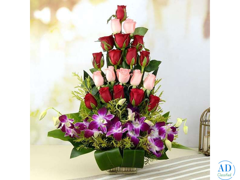 Same Day Surprise Gifts in Mohali - Woofern