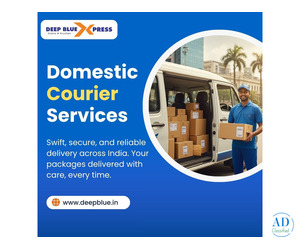 Fast & Reliable Domestic Courier Services Across India