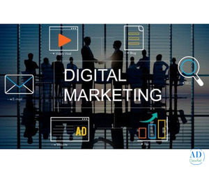 Digital Marketing Course in Indore - Codeez