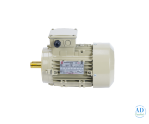 Best Motor Manufacturer in Coimbatore