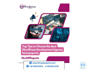 Top Tips to Choose the Best WordPress Development Agency | HireWPExperts Top Tips to Choose the Best WordPress Development Agency | HireWPExperts