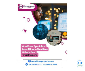 WordPress Specialists Reveal How to Fix a Slow Website Fast | HireWPexperts