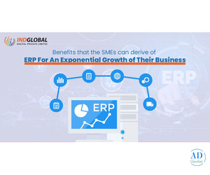 Custom ERP development in Dubai