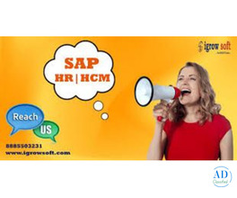 Best SAP HR HCM Online Training in Hyderabad | Igrowsoft