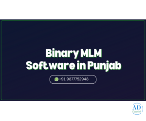 Leading MLM Software Development Company in Punjab?