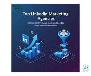 Boost B2B Sales with Targeted LinkedIn Ads