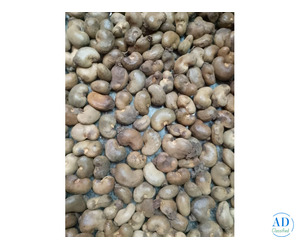 TOP 4 RAW CASHEW NUTS WHOLESALER IN AHMEDABAD 7550251115