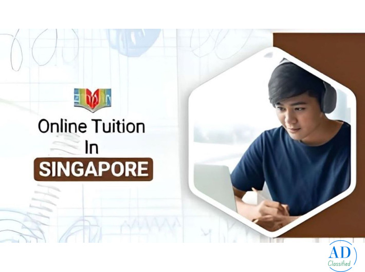 Online Tuition Classes in Singapore | Ziyyara – Learn Smarter With Live Expert Tutors