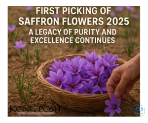 First Picking of Saffron Flowers 2025: A Legacy of Purity and Excellence Continues