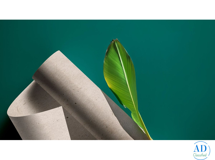 Banana Paper by Bluecat Paper – Eco-Friendly & Unique