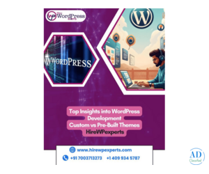 Top Insights into WordPress Development: Custom vs Pre-Built Themes | HireWPExperts
