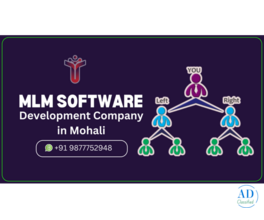 Looking for the Best MLM Software Development Company in Punjab?