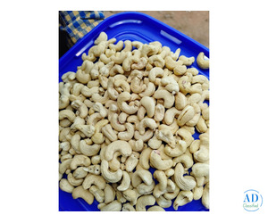 W180 W240 CASHEW NUTS WHOLESALER TRADER IN BIKANER UDAIPUR