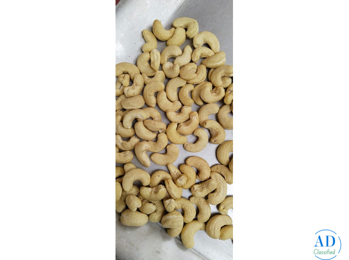 W180 W240 CASHEW NUTS WHOLESALER TRADER IN BIKANER UDAIPUR