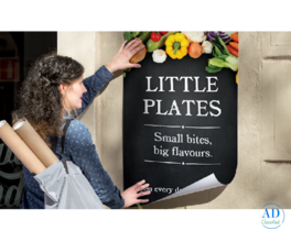 Professional Designing & Printing Services in Indore