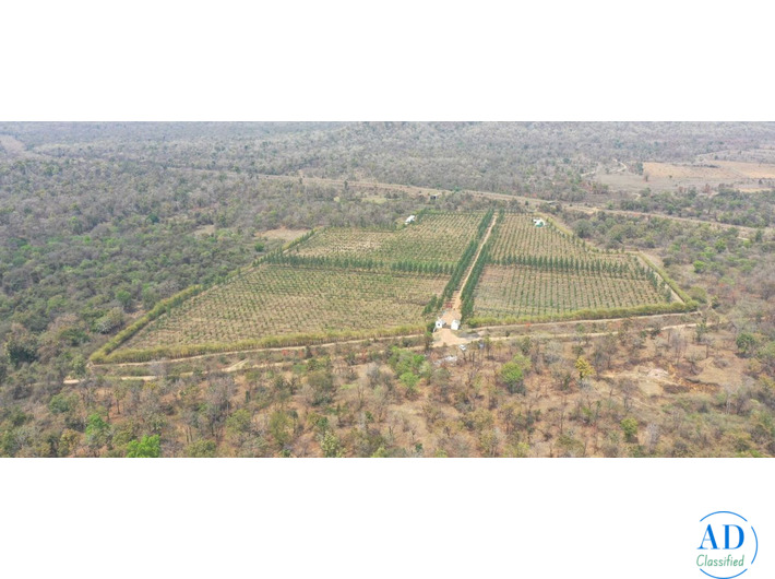 Cheap Agriculture Land in Nagpur for Farming