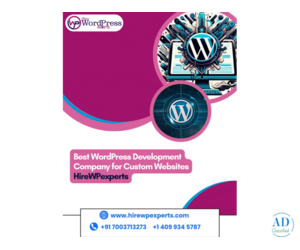 Best WordPress Development Company for Custom Websites | HireWPExperts