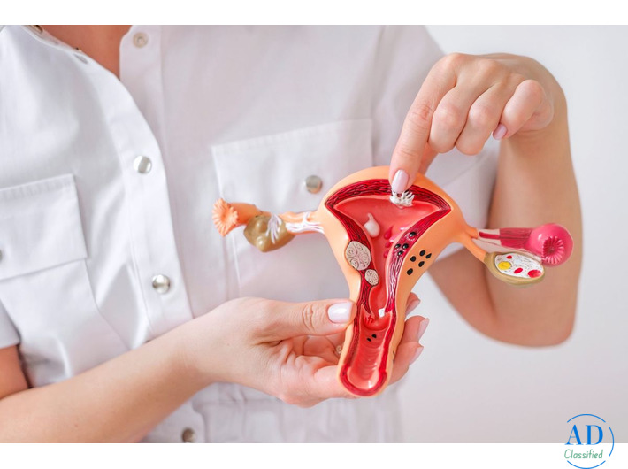 Best Uterine Fibroids Treatment Doctor in Mumbai, India – Dr. Dharav Kheradia