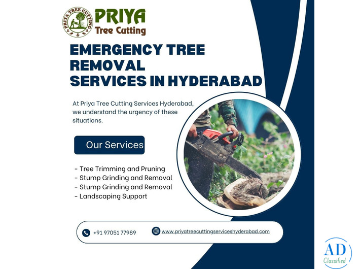 Emergency Tree Removal Services in Hyderabad