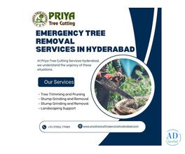 Emergency Tree Removal Services in Hyderabad