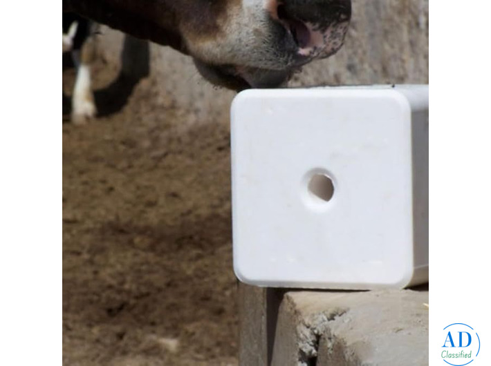 Blocco di Sale VitalPlus – Energia Naturale e Respiro Libero per il Bestiame