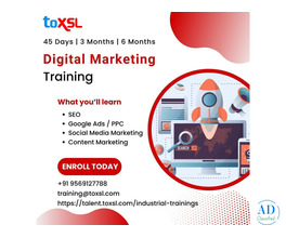 Master the Digital World with Digital Marketing Training in Mohali at ToXSL Technologies