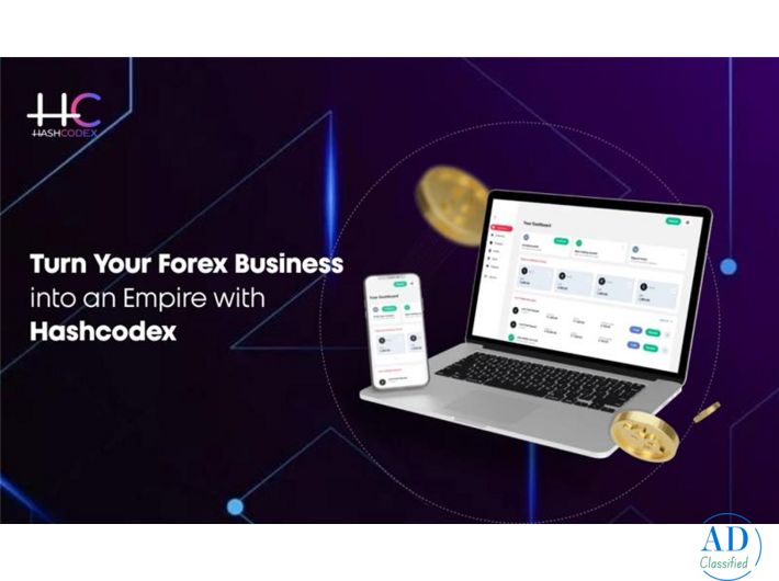 Turn Your Forex Business into an Empire with Hashcodex