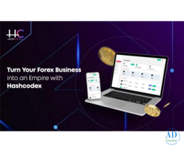 Turn Your Forex Business into an Empire with Hashcodex