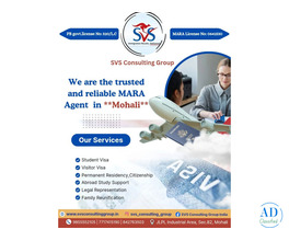 How Can SVS Consulting Group Guide Your Global Journey?