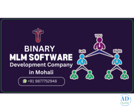 Looking for the Best MLM Software in Punjab to Power Your Network Business?