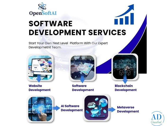 Custom Software Development Agency Builds the Future