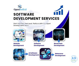 Custom Software Development Agency Builds the Future