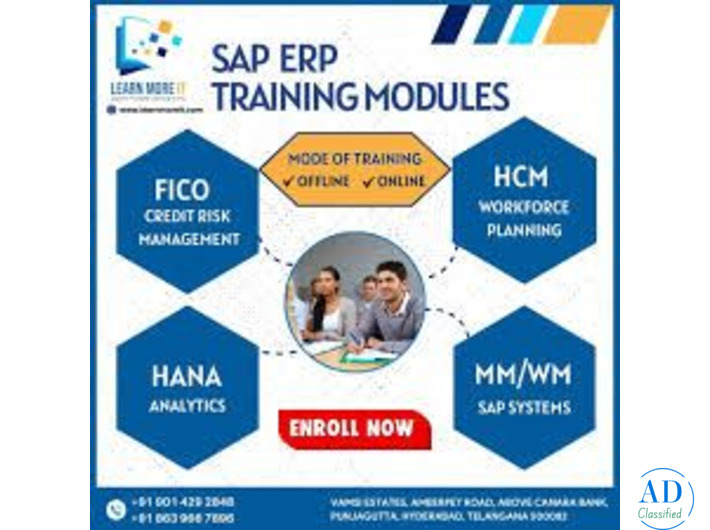 S.A.P institute in Ameerpet