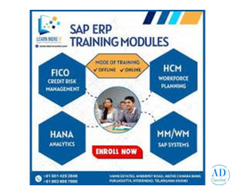 S.A.P institute in Ameerpet