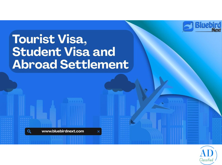 Get Your Switzerland Tourist Visa From India Easily with Bluebird Next!