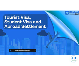 Get Your Switzerland Tourist Visa From India Easily with Bluebird Next!