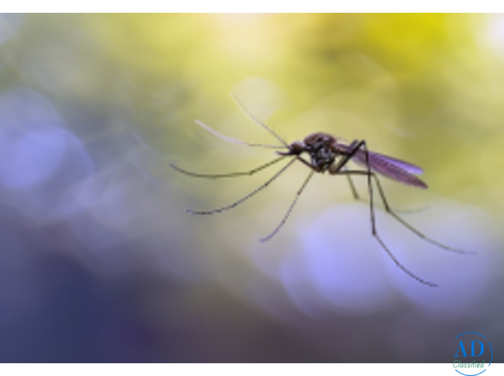 Anti-insect Net Manufacturers