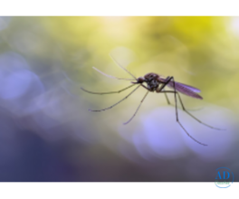 Anti-insect Net Manufacturers