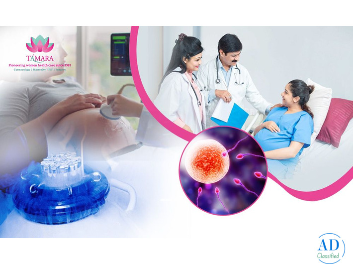 Leading IVF Specialist Doctor in Bangalore - Tamara Hospital & IVF Center