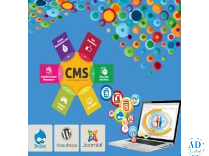 Content Management Service