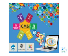 Content Management Service