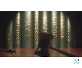 Appeal Smarter: Get Expert High Court Help Today