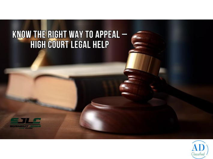 Appeal Smarter: Get Expert High Court Help Today