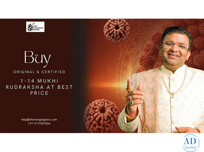Buy Original & Certified 1 to 14 Mukhi Rudraksha at Best Price